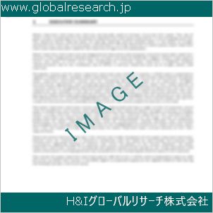 グローバルリサーチ調査資料のイメージ